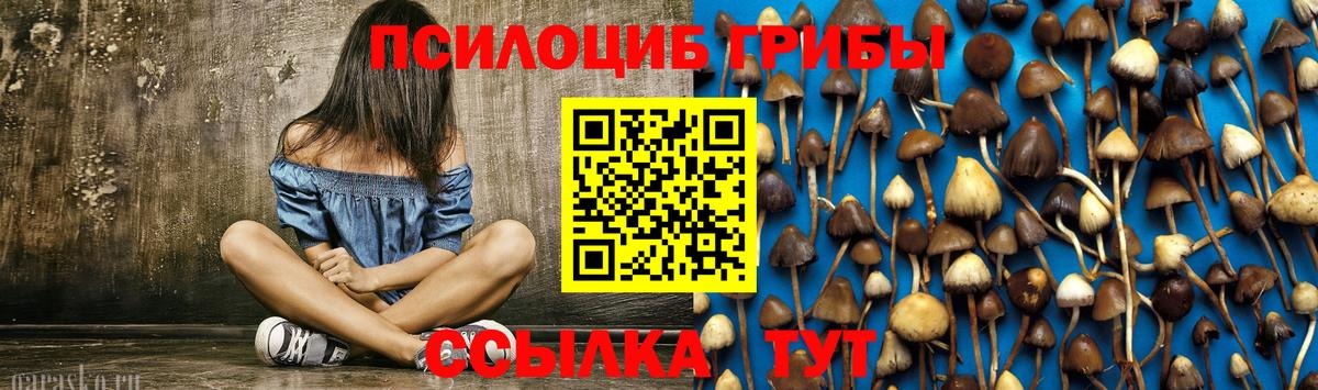 Галлюциногенные грибы Psilocybine cubensis  закладки  Муром  Вход с VPN 